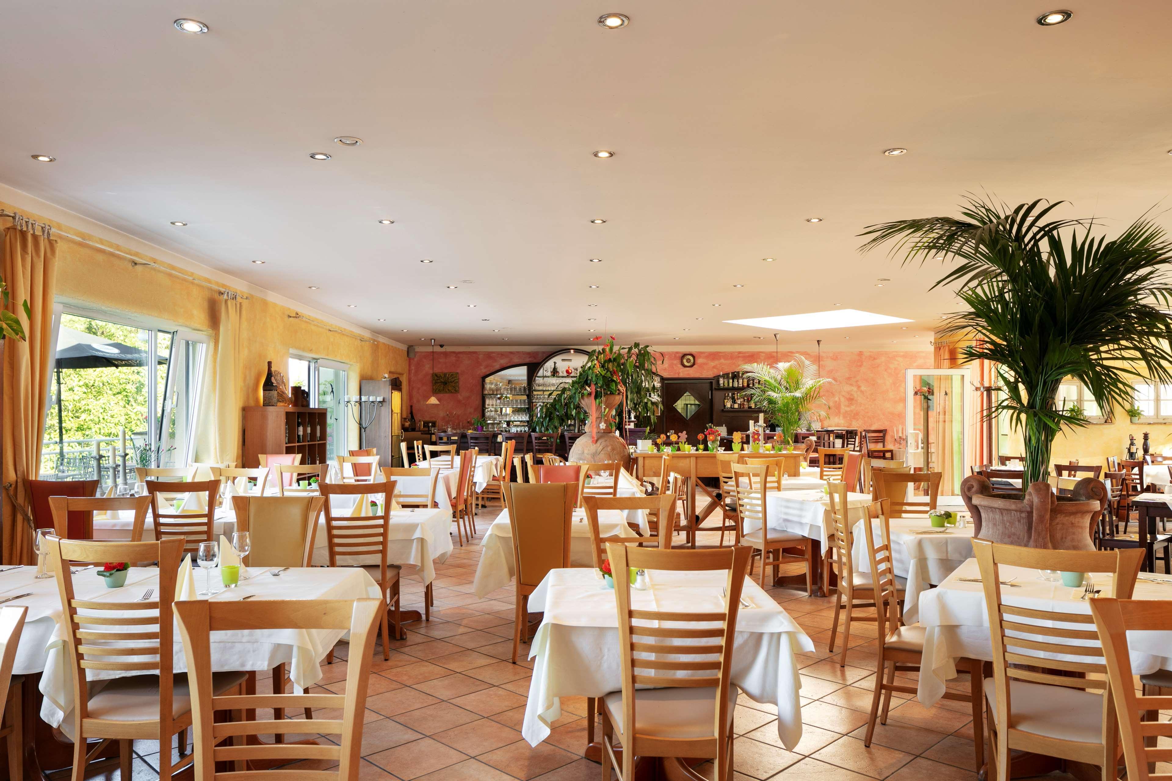 Western 4* Mainz